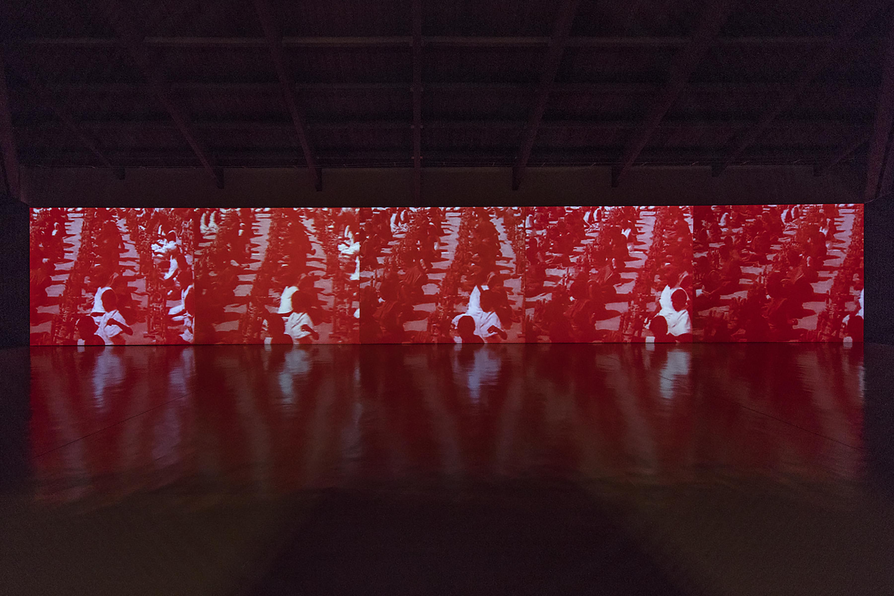 Nalini Malani, Mother India: Transactions in the Costruction of Pain, 2005